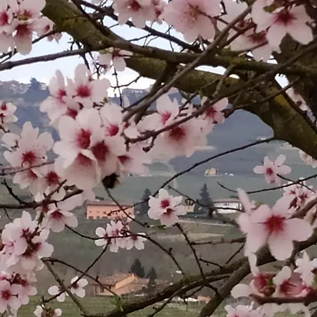 Casa Pulci Guest house